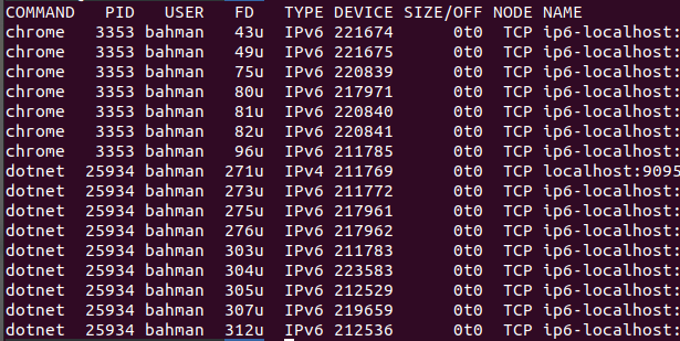 خطای address already in use در dotnet core